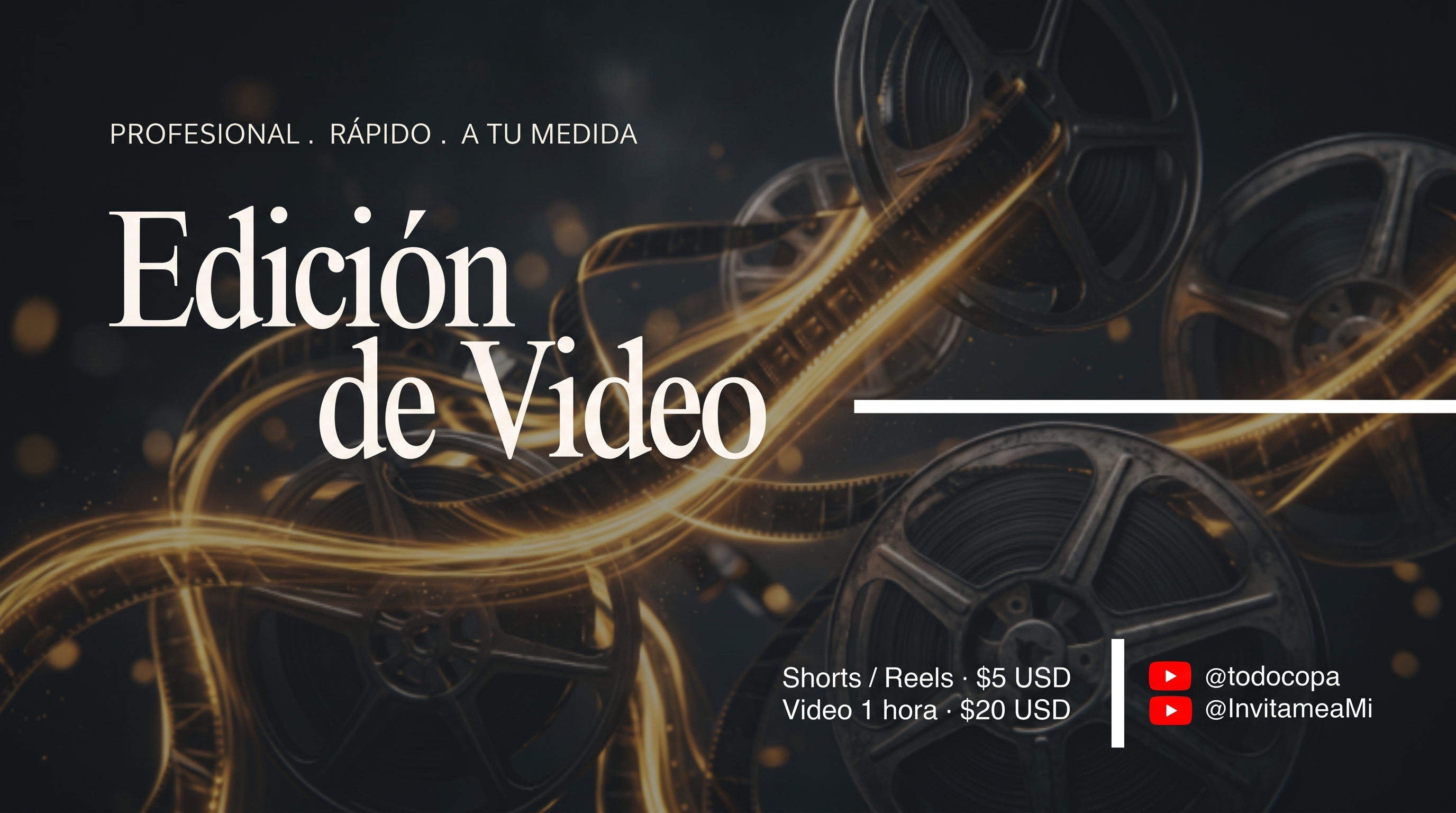 Edicion de Video Profesional